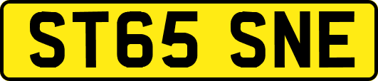 ST65SNE