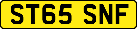 ST65SNF