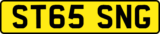 ST65SNG