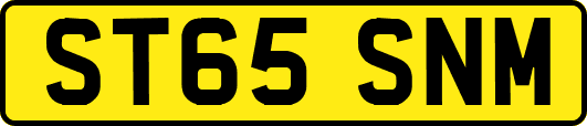 ST65SNM