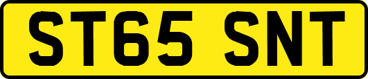 ST65SNT