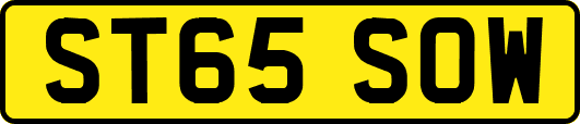 ST65SOW