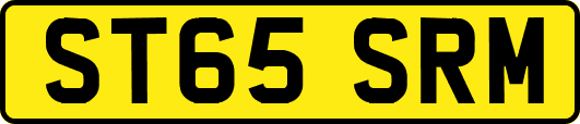 ST65SRM