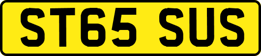 ST65SUS