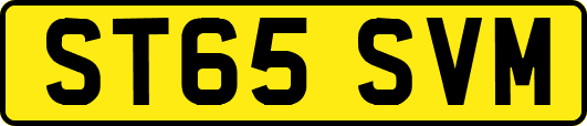 ST65SVM