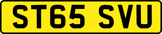 ST65SVU