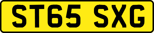 ST65SXG