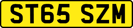ST65SZM