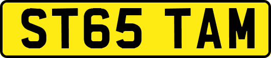 ST65TAM