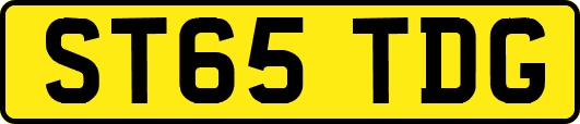 ST65TDG