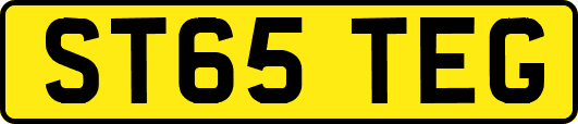ST65TEG