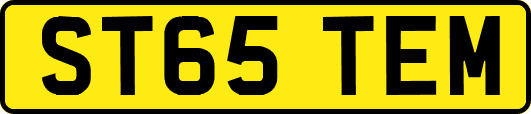 ST65TEM