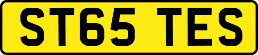 ST65TES