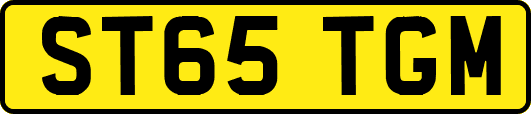 ST65TGM