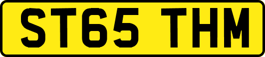 ST65THM