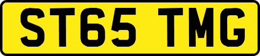ST65TMG