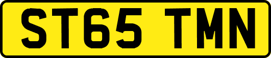 ST65TMN