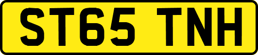 ST65TNH
