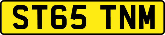 ST65TNM