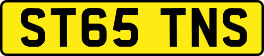 ST65TNS
