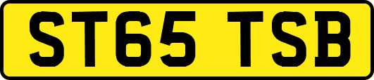 ST65TSB
