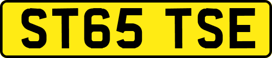 ST65TSE
