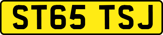 ST65TSJ