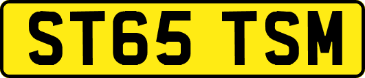 ST65TSM