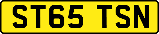 ST65TSN
