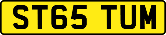 ST65TUM