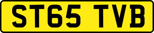 ST65TVB