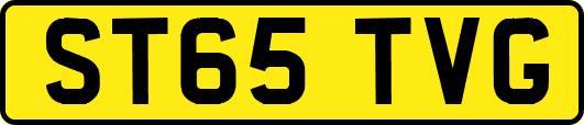 ST65TVG