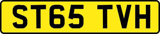 ST65TVH