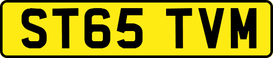 ST65TVM