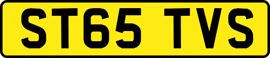 ST65TVS
