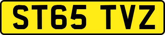 ST65TVZ