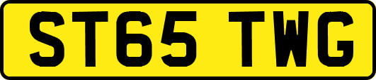 ST65TWG