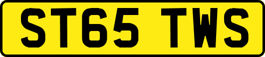 ST65TWS