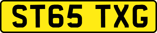 ST65TXG