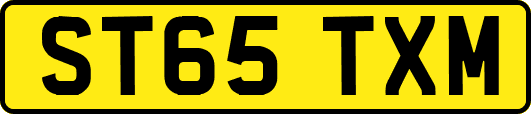 ST65TXM