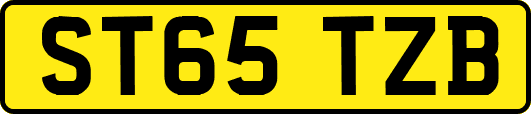ST65TZB
