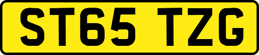 ST65TZG