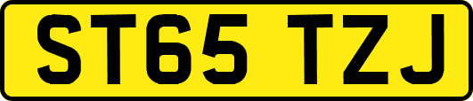 ST65TZJ