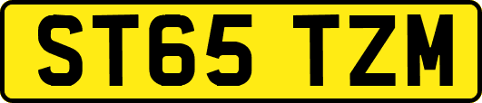 ST65TZM