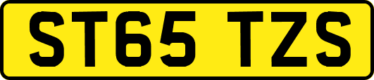 ST65TZS