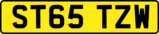 ST65TZW