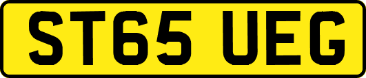 ST65UEG
