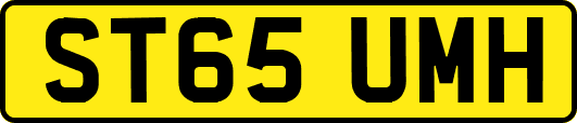 ST65UMH