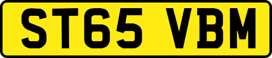 ST65VBM
