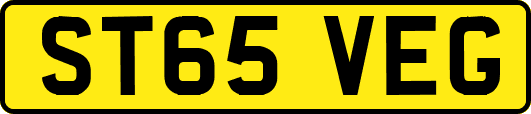 ST65VEG